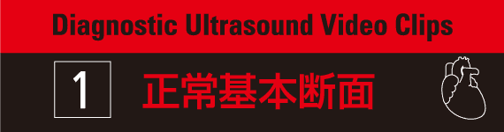 Diagnostic Ultrasound Video Clips 1- 正常基本断面