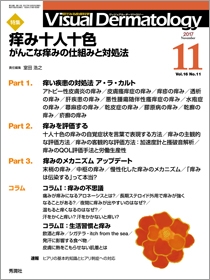 Vｉｓｕａｌ　Ｄｅｒｍａｔｏｌｏｇｙ　Vol.16 No.11