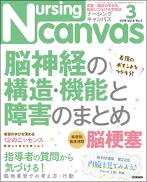 ナーシング・キャンバス Vol.6 No.3