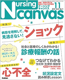 ナーシング・キャンバス Vol.6 No.11