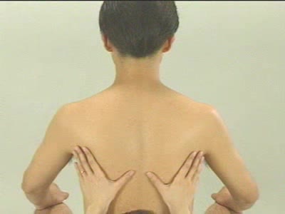 胸郭の可動性の観察：</br>背部