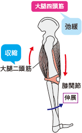 解説p.60・61誤りの図