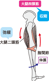 解説p.60・61正しい図