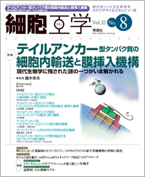 細胞工学 Vol.32 No.8 2013年8月号 | Gakken メディカル出版事業部