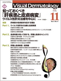 Ｖｉｓｕａｌ　Ｄｅｒｍａｔｏｌｏｇｙ　Vol.11 No.11
