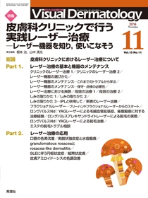 Ｖｉｓｕａｌ　Ｄｅｒｍａｔｏｌｏｇｙ　Vol.13 No.11
