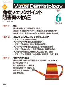 Vｉｓｕａｌ　Ｄｅｒｍａｔｏｌｏｇｙ　Vol.15 No.6