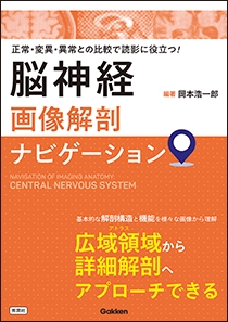 脳神経画像解剖ナビゲーション