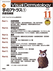 Ｖｉｓｕａｌ　Ｄｅｒｍａｔｏｌｏｇｙ　Vol.17 No.11