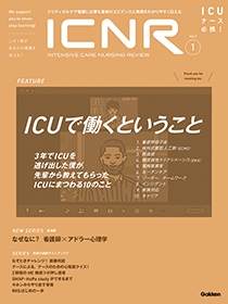 ICNR最新号 表紙