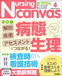 ナーシング・キャンバス Vol.4 No.4