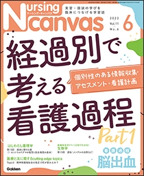 ナーシング・キャンバス Vol.11 No.6