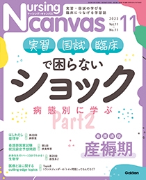 ナーシング・キャンバス Vol.11 No.11