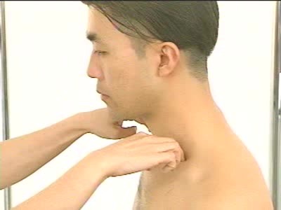 頭頸部リンパ節の触診：</br>鎖骨上リンパ節